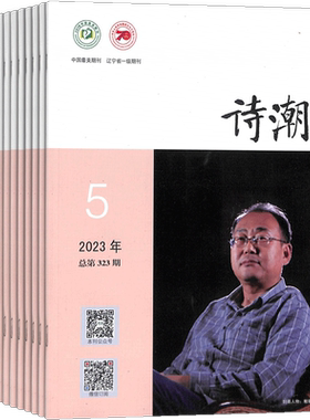 诗歌评论随笔散文诗潮杂志