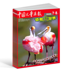 6年级学生地理探险 杂志铺订阅 动物大世界杂志 中少出版 动物科普画报 儿童地理 适合于小学1 1年共12期 2026年1月起订 包邮