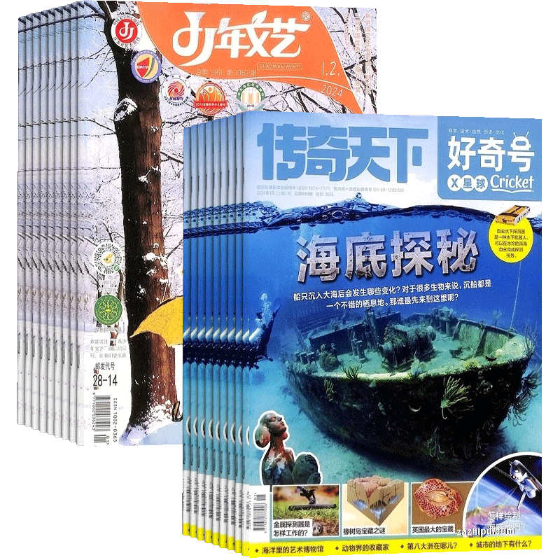 好奇号少年文艺江苏杂志组合
