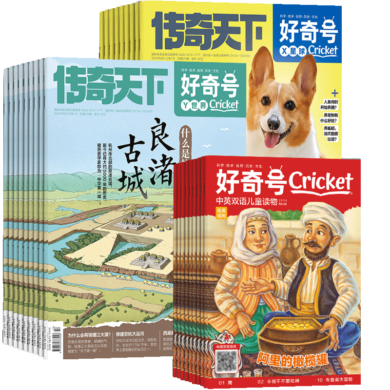 【12个月订阅】好奇号杂志 2025年1月-12月共12期杂志铺 6-12岁小学生阅读书籍非万物阳光少年报过刊