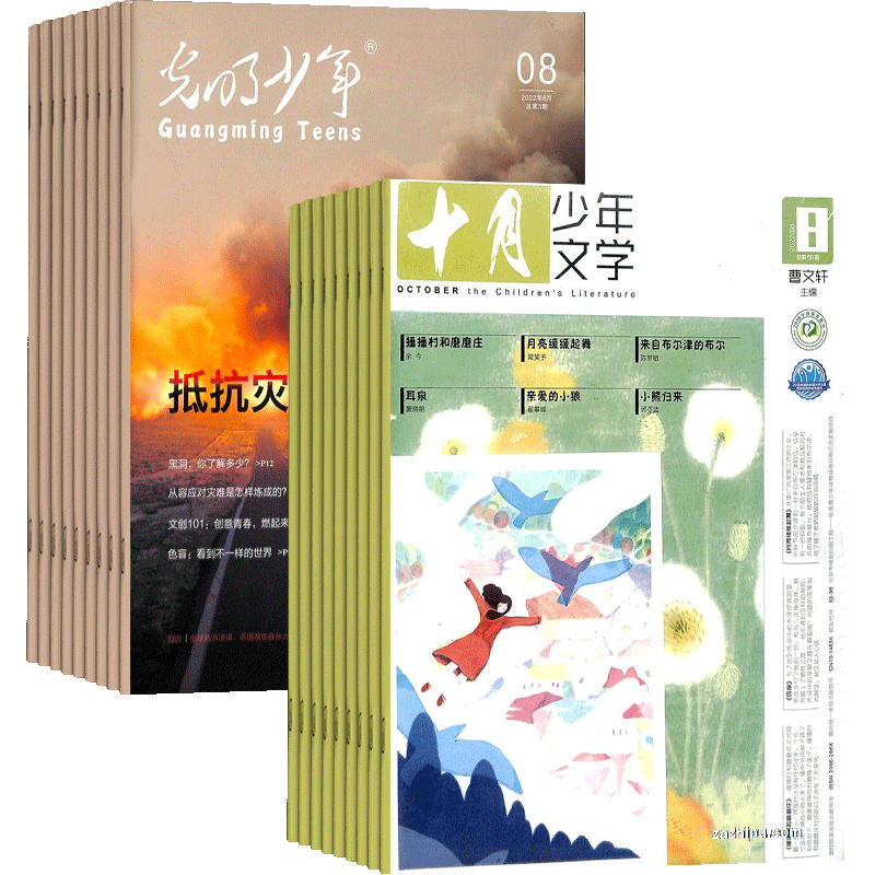 少儿兴趣阅读期刊杂志
