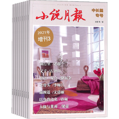 小说月报中长篇专号杂志