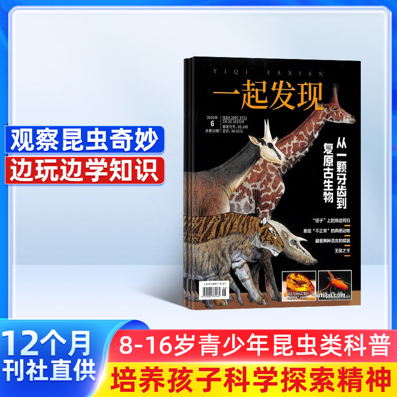 一起发现昆虫杂志 2026年1月起订阅 全年共12期 8-16岁青少儿少年阅读 中小学生课外科普百科 杂志铺