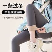 女外穿2025新款 秋冬季 灰色紧身瑜伽打底裤 鲨鱼裤 加绒保暖棉裤