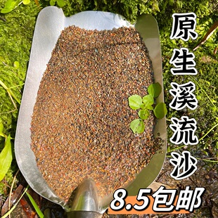 原生缸溪流沙造景底沙天然溪流石南美缸雷龙鱼水草装饰河沙川藏砂