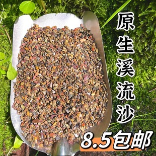 原生缸超细溪流沙造景装饰专用底部砂石子摆件天然雨林沙乌龟鳑鲏
