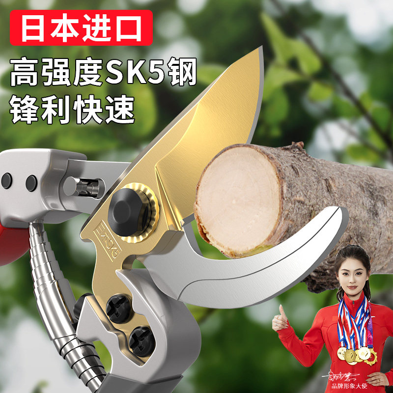 园艺剪进口日本修枝剪树枝专用剪刀花艺修剪花卉剪花剪子果树花木