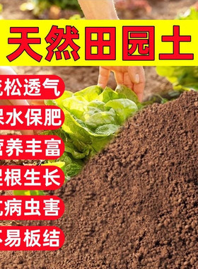纯天然田园土碗莲泥土种菜土沙质沙土营养土种花家用田园土泥多肉