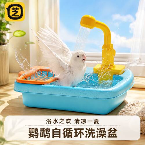 鹦鹉自循环洗澡盆淋浴盆宠物用品