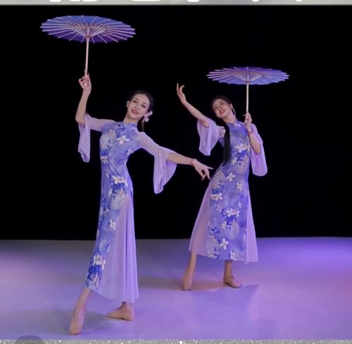 雨巷佳人舞蹈服装人间烟火演出服高弹力舞蹈旗袍裙夏辉同款紫色