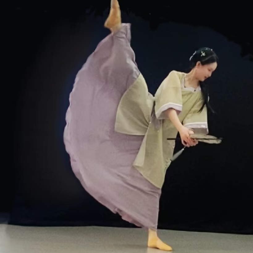 古典舞大摆裙套装清风徐来演出服古典舞茶花开了苏州慢宽松小衫女