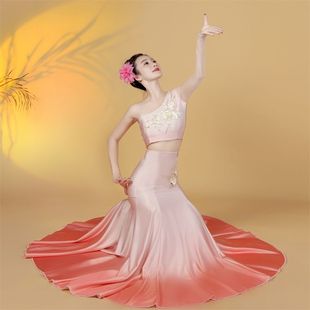 傣家小妹彩云之南舞蹈服水之灵孔雀傣族舞演出服西双版纳艺考服装