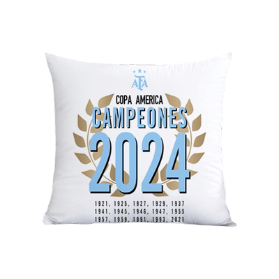 2024美洲杯阿根廷队夺冠靠枕抱枕
