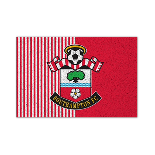 南安普敦队圣徒足球迷丝圈地垫子门外室内防滑玄关入户进门口脚垫