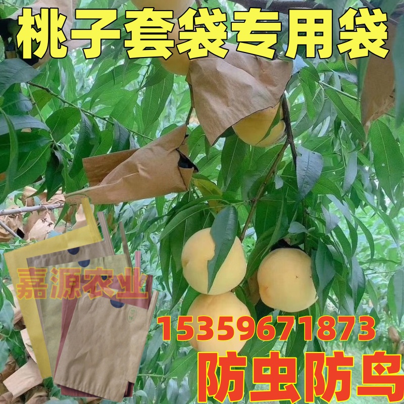 桃子专用防虫防鸟套袋