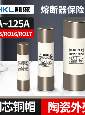 熔断器芯子RO15/16/17陶瓷保险丝管RT18 1A 2A 3A 5A 6A 10A 32A