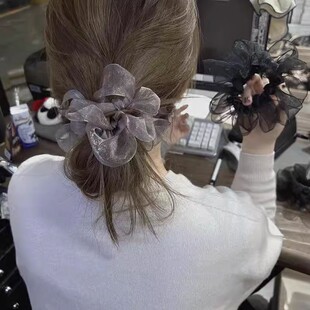 韩系欧根纱编织大肠发圈女2025新款高级感马尾发绳扎丸子头绳皮筋