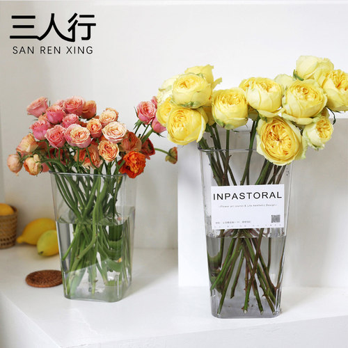 包邮三人行亚克力透明塑料养花桶