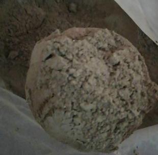 金蟾衣蟾虫蟾蛆衣皮癞蟾粉衣份