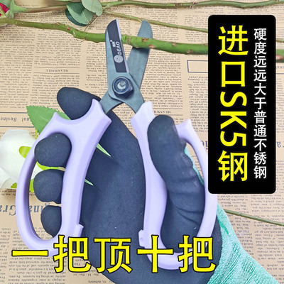 德奥SK5钢超硬刀头加厚超耐用