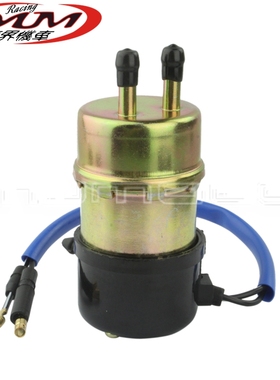 适用本田VF1100C/750C雅马哈FJ1200/XP500/FZS600 金属电喷燃油泵