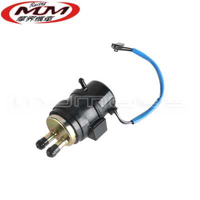 400CB-1CBR40023期汽油泵