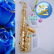 Cửa hàng 6 năm triệu danh tiếng Nhạc cụ Weiboona thả E giai điệu alto saxophone ống gió tùy chỉnh sửa chữa cải tạo - Nhạc cụ phương Tây