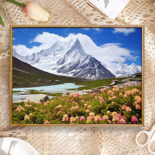 数字油画diy手绘浪漫治愈西藏神山萨普画客厅摆件装饰画24小时发