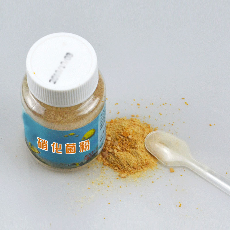 凈水魚缸凈化水質硝化菌康卿