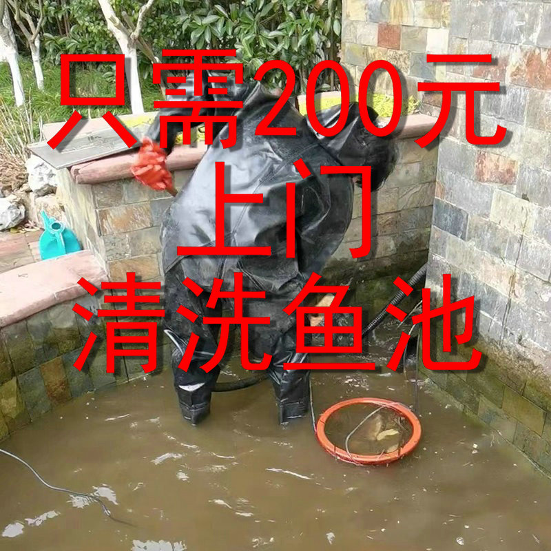 過濾器魚缸上門清洗魚缸魚池護理