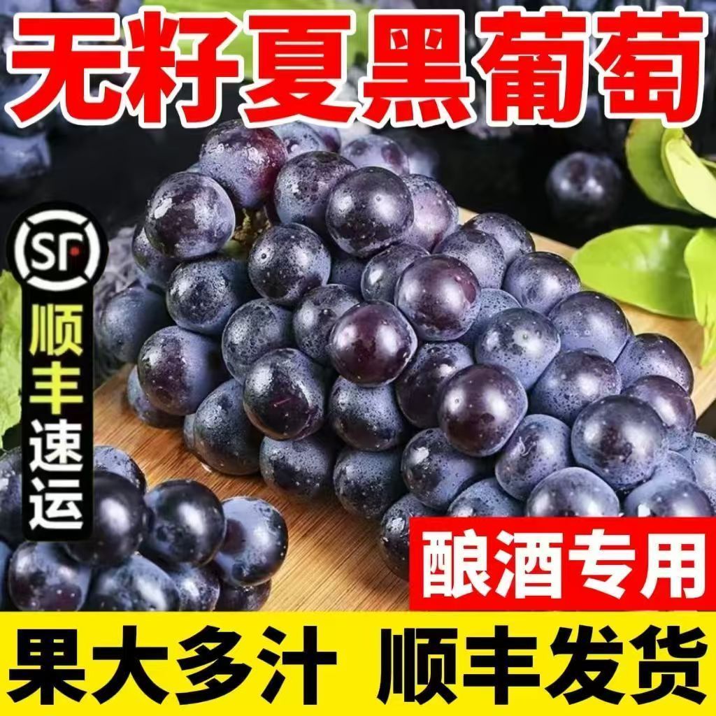 正宗夏黑葡萄无籽黑提子红提子新鲜水果当季整箱批发