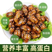 2025金蝉山东野生新鲜现抓冷冻蝉活体速冻知了猴顺丰 包邮