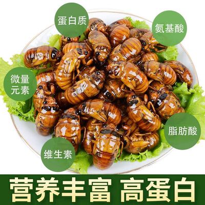 2026年鲜活速冻新鲜冷冻蝉蛹爬叉猴结了烧烤食材特大蝉