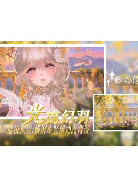 NO.32【光霭幻羽】虚拟主播直播场景素材包｜VTS/Shoost滤镜预设