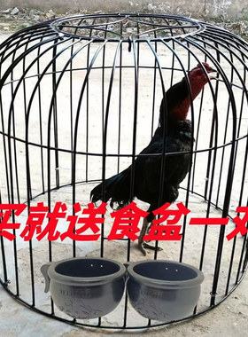 斗鸡笼子加粗大号保温罩