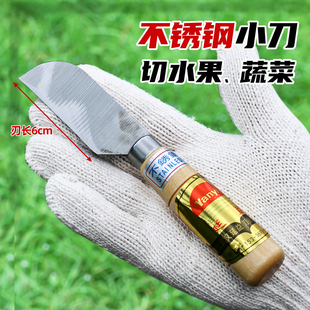 槟榔刀板栗子去皮刀甘蔗削皮刀切水果蔬菜辅食刀香蕉刀短身小刀