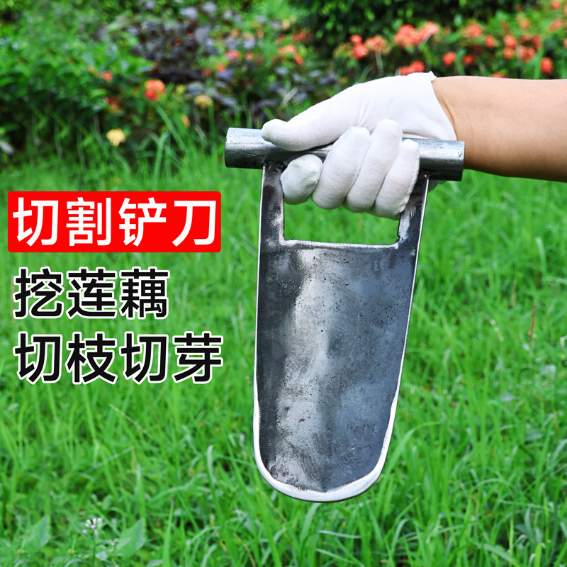 铲刀挖莲藕铲香蕉除芽铲修树铲切菜手铲挖菜种植工具农用老式铁铲,鲜花速递/花卉仿真/绿植园艺,铲子,淘宝优惠券,粉丝福利购,淘宝优惠卷