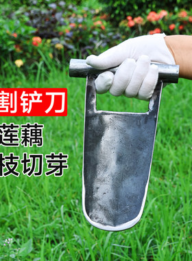铲刀挖莲藕铲香蕉除芽铲修树铲切菜手铲挖菜种植工具农用老式铁铲