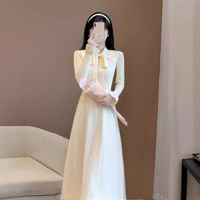 出口法式轻奢温柔风连衣裙女秋季2024年打底针织网纱裙子