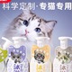 宠物猫咪沐浴露杀菌除臭持久留香除螨沐浴乳护毛素清洁用品通用