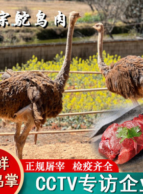 新鲜鸵鸟肉精修纯瘦肉基地直发