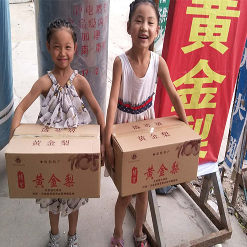 0南阳新鲜有机整箱黄金梨