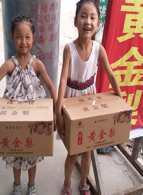 0南阳新鲜有机整箱黄金梨