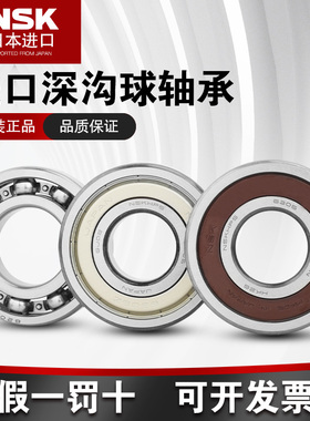 日本NSK进口 B17-102DG3 B20-171DD B17-99DG 6301汽车发电机轴承