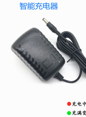12V1000ma儿童玩具车充电器美容仪剃须15V1A电池充电线6V1A8.4V