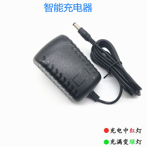 12V1000ma儿童玩具车充电器美容仪剃须15V1A电池充电线6V1A8.4V