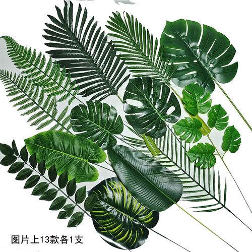 塑料婚庆幼儿园环创森系龟背叶