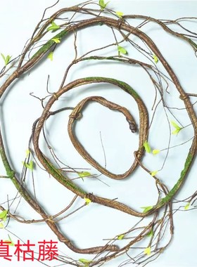 仿真枯树藤塑料假树藤造景墙面装饰树藤带铁丝可弯曲造型藤山藤