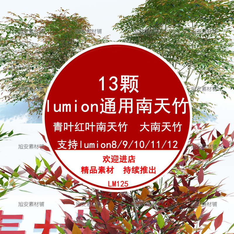 lumion8/9/10/11/12/2023/2024南天竹青叶红叶南天竹大南天竹