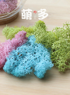 永生苔藓diy材料玻璃罩永生花礼